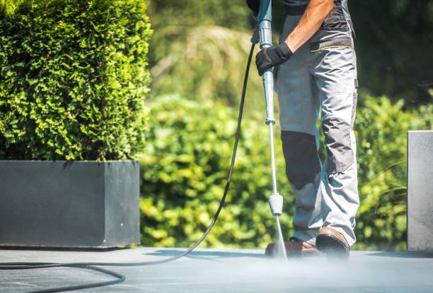 Best Gutter Cleaning  in Sandstone, MN