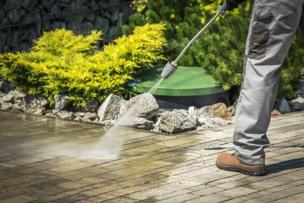 Best Pre-Holiday Cleaning  in Sandstone, MN